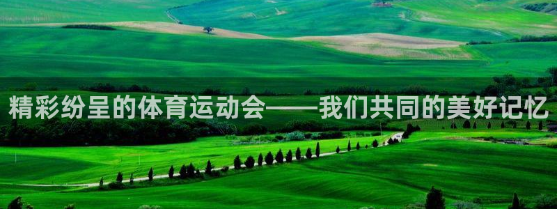 东莞市意昂5电子科技有限公司：精彩纷呈的体育运动会——我们共同的美好记忆