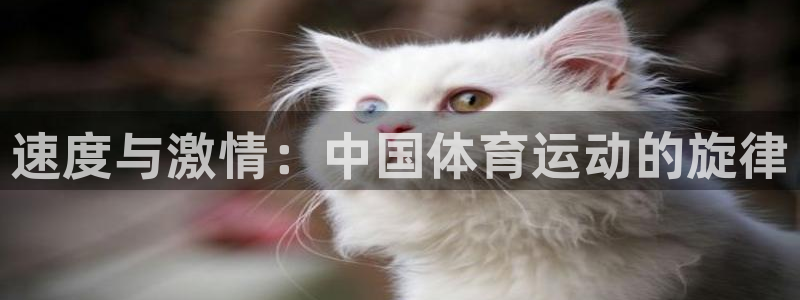 意昂52体育：速度与激情：中国体育运动的旋律