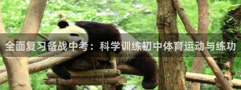 意昂5体育注册平台：全面复习备战中考：科学训练初中体育运动与练功