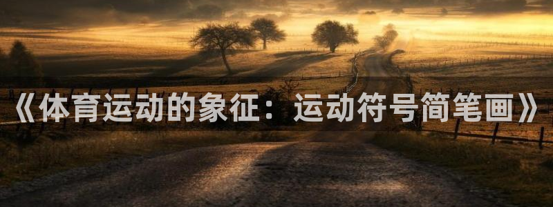 上海意昂5汽车电子有限公司：《体育运动的象征：运动符号简笔画》