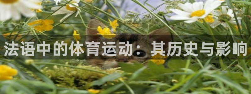 意昂5体育代理：法语中的体育运动：其历史与影响
