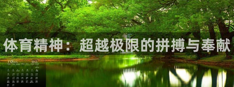 意昂5凯捷开号链接：体育精神：超越极限的拼搏与奉献