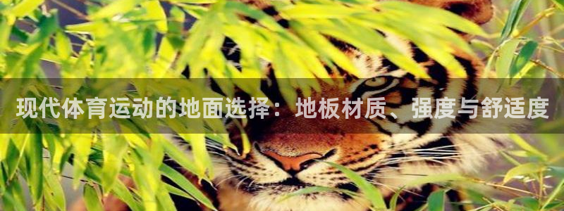 意昂5体育凯捷登陆：现代体育运动的地面选择：地板材质、强度与舒适度