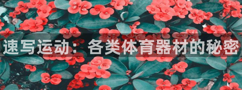 意昂5平台开户：速写运动：各类体育器材的秘密