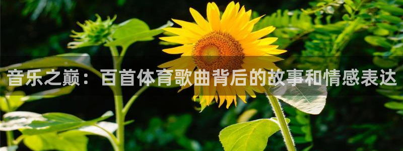 意昂5股份：音乐之巅：百首体育歌曲背后的故事和情感表达