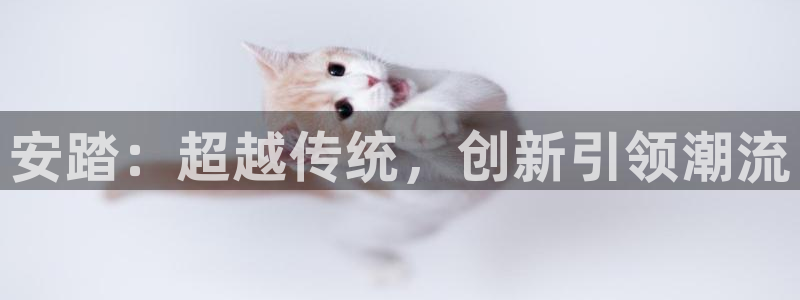 意昂5电子有限公司：安踏：超越传统，创新引领潮流