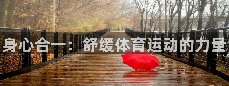 意昂5体育官网：身心合一：舒缓体育运动的力量