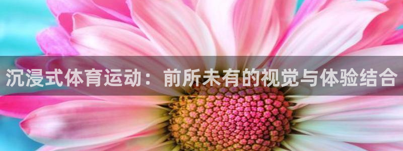 意昂52平台登录：沉浸式体育运动：前所未有的视觉与体验结合