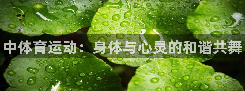 意昂5环保：中体育运动：身体与心灵的和谐共舞