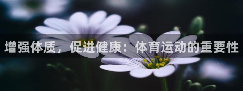 意昂5体育2官网入口：增强体质，促进健康：体育运动的重要性
