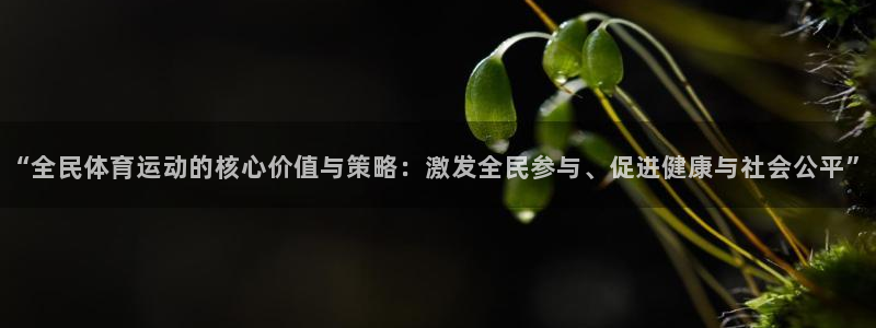 意昂54官网：“全民体育运动的核心价值与策略：激发全民参与、促进健康与社会公平”