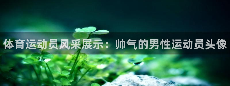 意昂5：体育运动员风采展示：帅气的男性运动员头像