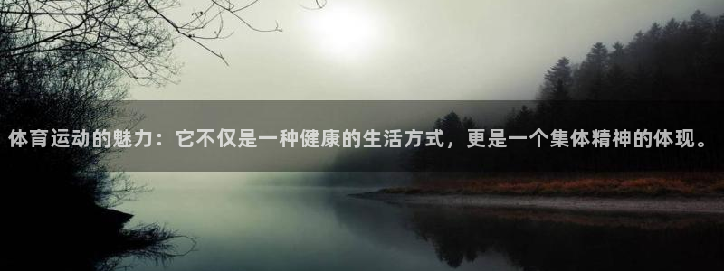 意昂54：体育运动的魅力：它不仅是一种健康的生活方式，更是一个集体精神的体现。