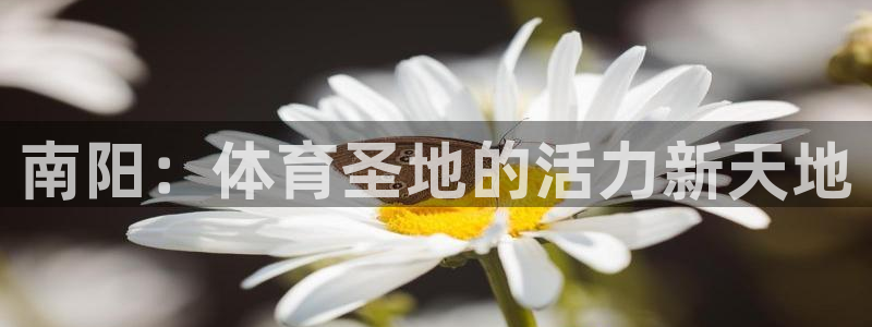 意昂5平台开户：南阳：体育圣地的活力新天地
