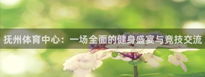 意昂5体育平台登录入口：抚州体育中心：一场全面的健身盛宴与竞技交流