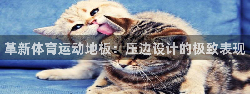 意昂5招商：革新体育运动地板：压边设计的极致表现