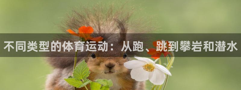 意昂5体育平台注册：不同类型的体育运动：从跑、跳到攀岩和潜水