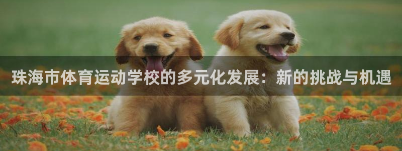 佛山市南海意昂5机电仪器有限公司：珠海市体育运动学校的多元化发展：新的挑战与机遇