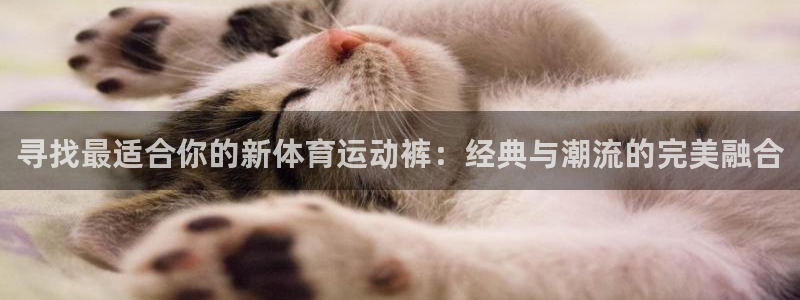 意昂53平台登录注册：寻找最适合你的新体育运动裤：经典与潮流的完美融合