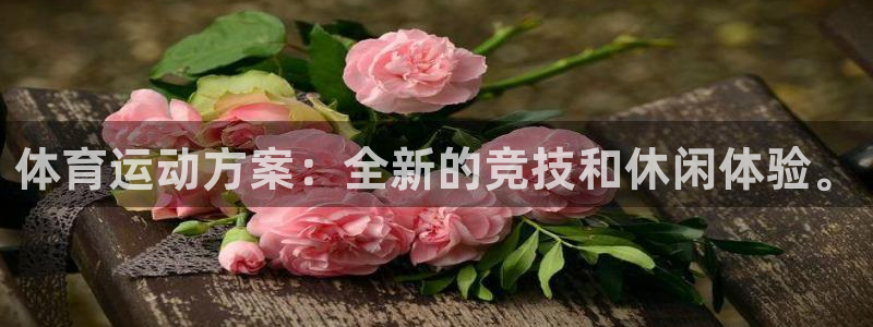 意昂5体育f开号：体育运动方案：全新的竞技和休闲体验。