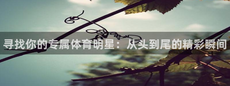 意昂5登录注册：寻找你的专属体育明星：从头到尾的精彩瞬间