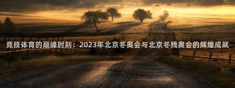 意昂53：竞技体育的巅峰时刻：2023年北京冬奥会与北京冬残奥会的辉煌成就